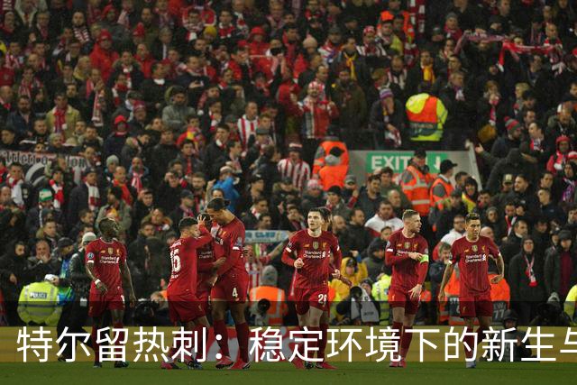 特尔留热刺：稳定环境下的新生与成长